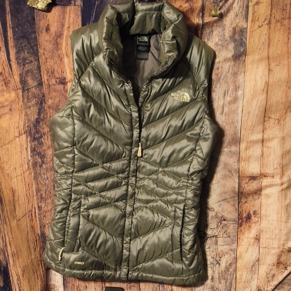 Yep Yep. So Sexy Silver THE NORTH FACE 550 Down Best Vest!